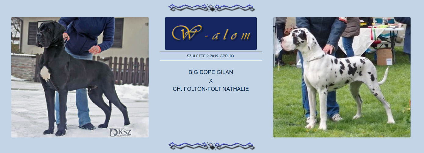 W2 alom szülei Nathalie x Gillan